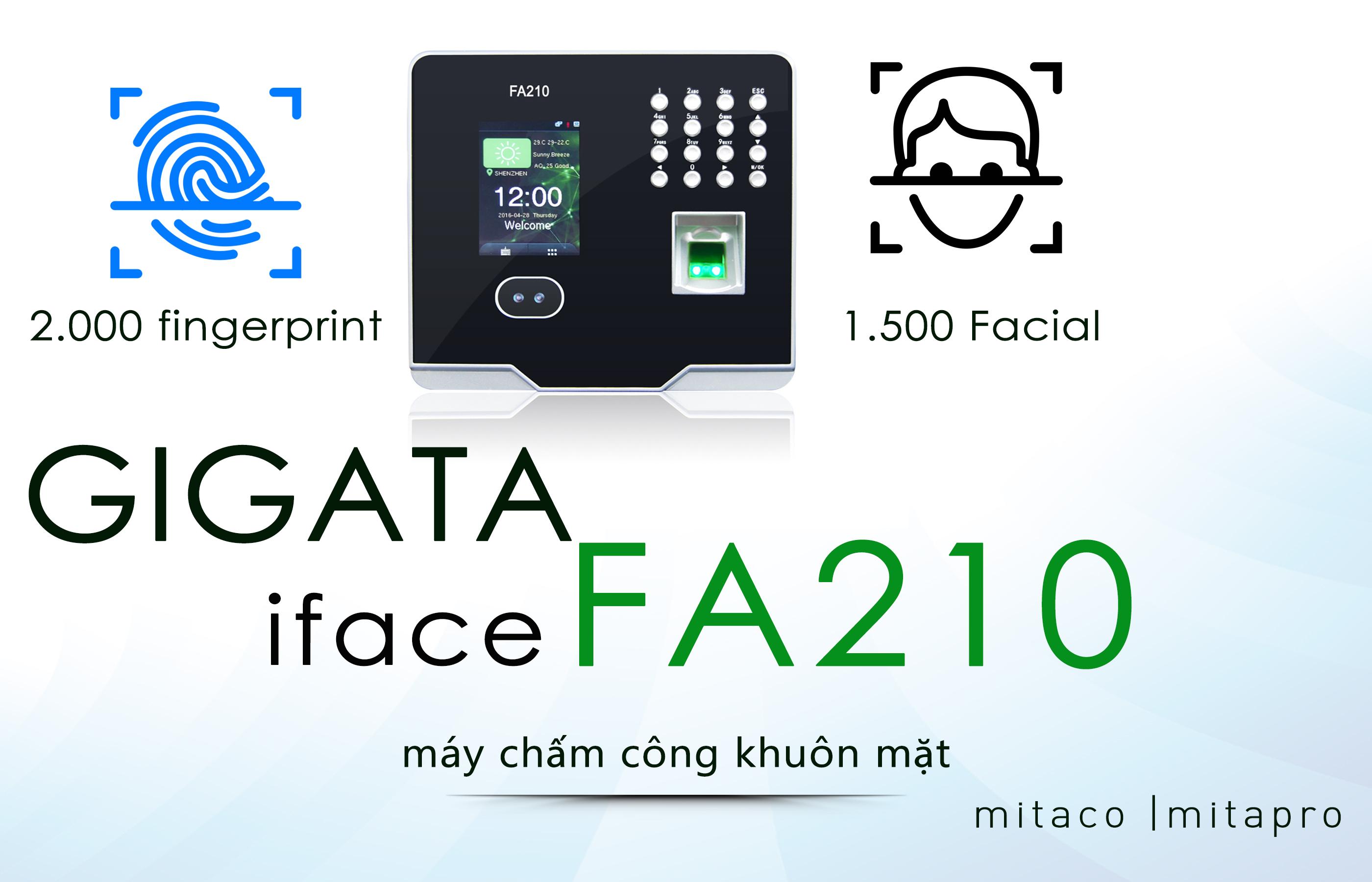 Gigata iFace FA-210 (khuôn mặt + vân tay)
